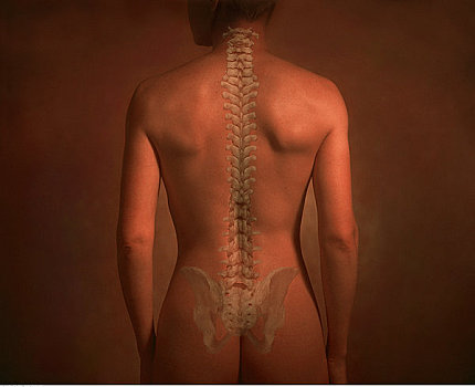 女人,背影,脊椎