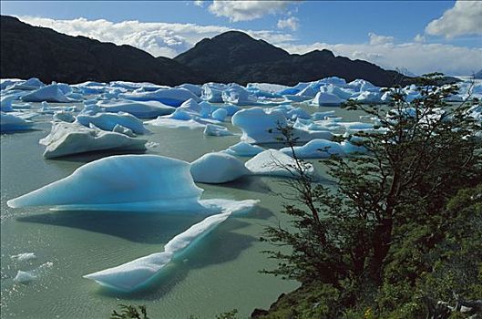 冰山,泻湖,托雷德裴恩国家公园,巴塔哥尼亚,智利