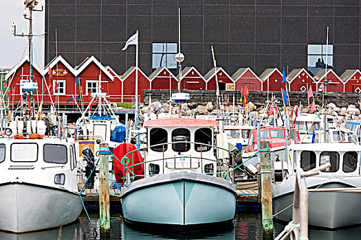 鱼,仓库,港口,丹麦