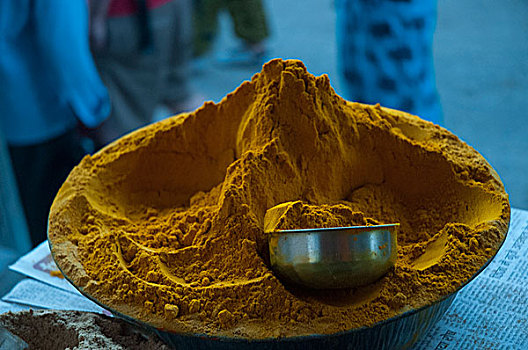 姜黄,拉贾斯坦邦,印度