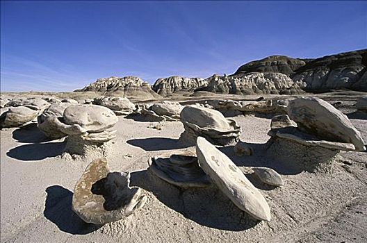 自然荒野区,新墨西哥,美国