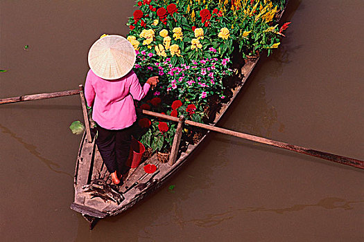 越南,芹苴,河,卖花人,操纵,船,漂浮