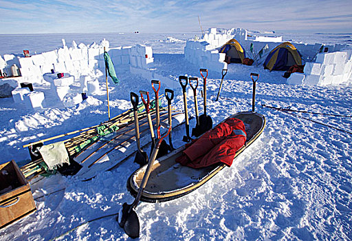 南极,岛屿,车站,雪,学校,幸存,露营
