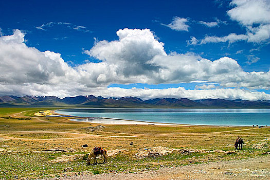 西藏风光那木措湖
