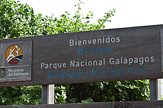 加拉帕戈斯群岛,厄瓜多尔,加拉帕戈斯,国家公园,波多黎各,圣克鲁斯岛