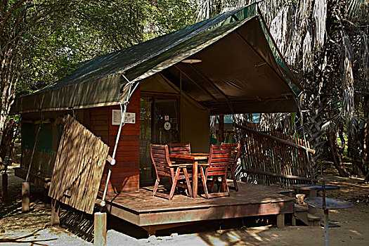 帐蓬,休息,露营,克鲁格国家公园,南非