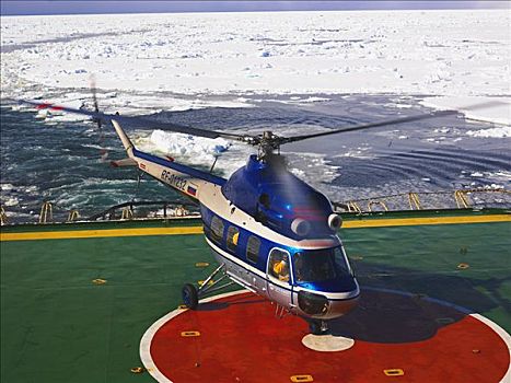 直升飞机,降落,船长,破冰船,南极