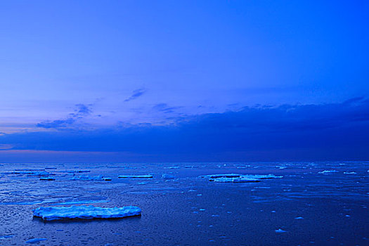海洋,鄂霍次克海,漂浮,冰,日落,北海道