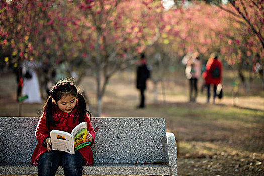 桃花林看书的女孩