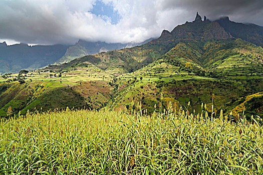 黍,靠近,悬崖,山,埃塞俄比亚