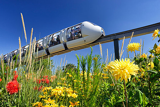 单轨铁路,地铁,场所,国际,花园,展示,汉堡市,德国,欧洲