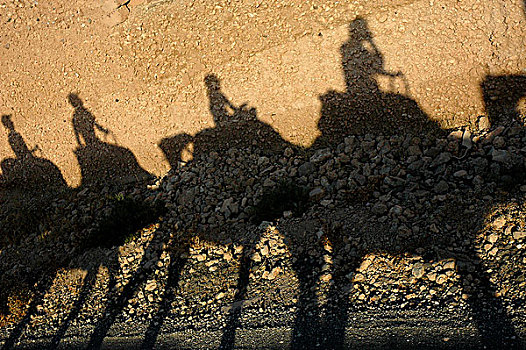 单峰骆驼,摩洛哥
