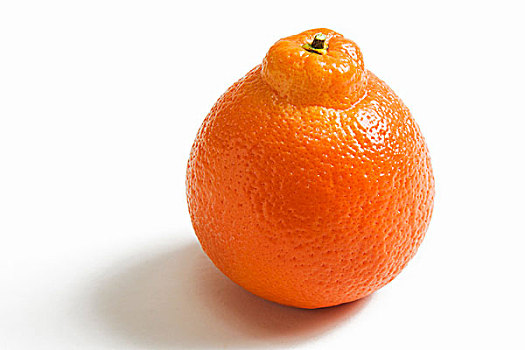 一个,肚脐,橙子,白色背景