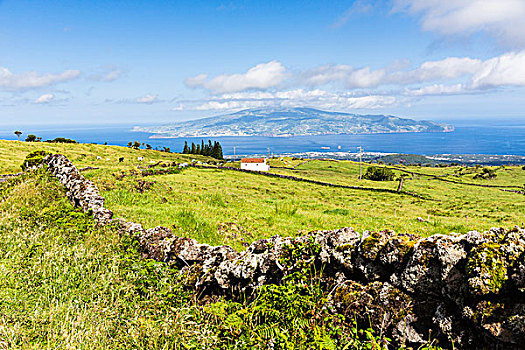 火山岩,石墙,牧场,正面,风景,法亚尔,皮库岛,亚速尔群岛,葡萄牙