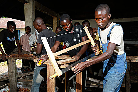 学徒,锯,木头,木工,工作间,省,刚果