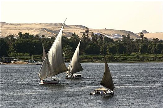三桅小帆船,传统,帆船,尼罗河,靠近,阿斯旺,埃及,非洲
