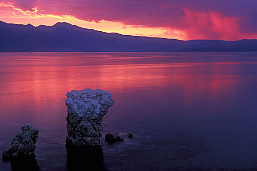 全景,湖,莫诺湖石灰华州立保护区,加利福尼亚,美国