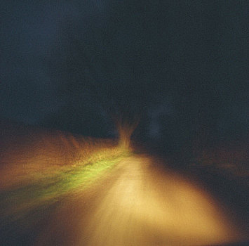 暗色,树,树干,光亮,前灯,驾驶,什罗普郡,道路