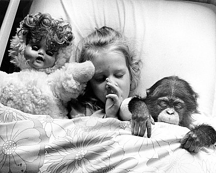 女孩,床上,黑猩猩,娃娃,英格兰,英国