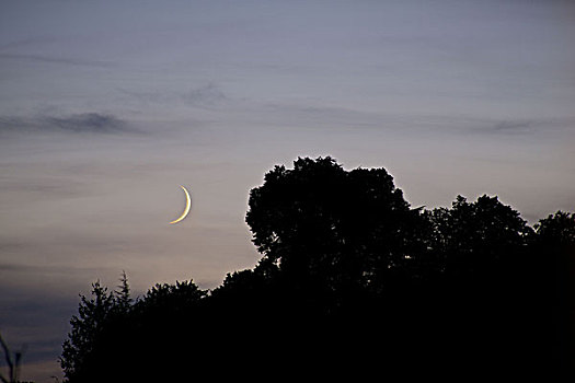 新月,黎明,天空