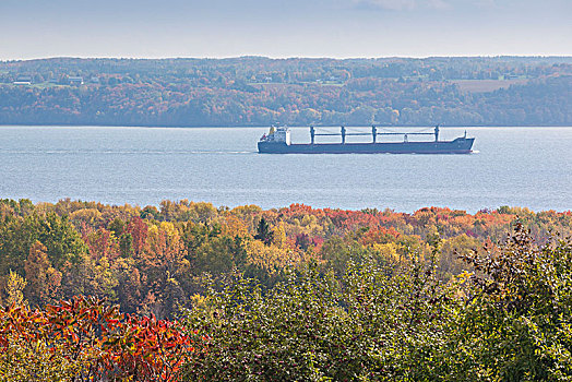 加拿大,魁北克,区域,俯视图,货船,劳伦斯河,秋天