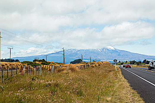 新西兰路