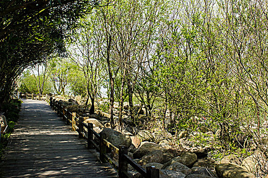上海宝山炮台湾湿地公园风光