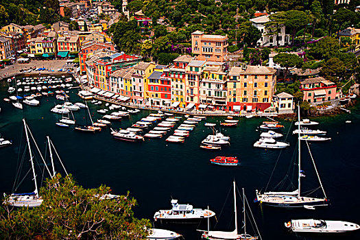 泊船,小,港口,城镇,波托菲诺,利古里亚,意大利