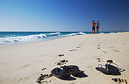 伴侣,站立,海滩,佩思,西澳大利亚,澳大利亚