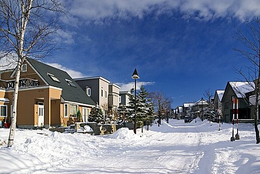 雪,住宅区