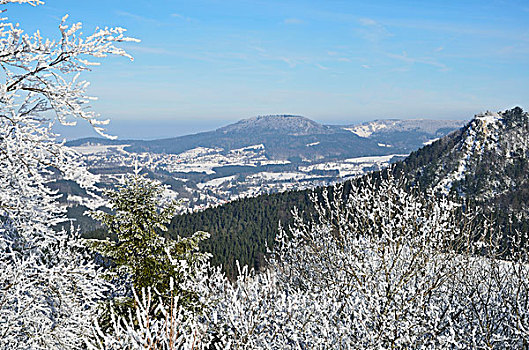 冬季风景,靠近,巴登符腾堡,德国