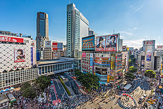 日本,东京,城市,涩谷,穿过