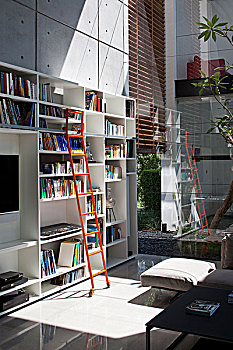 梯子,书架,日光,客厅,房子,以色列,中东