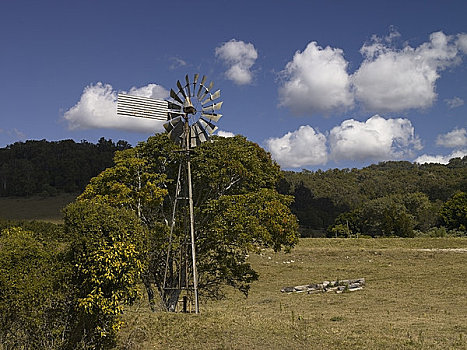 传统风车,地点,昆士兰,澳大利亚
