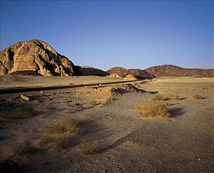 沙漠,荒漠景观,沙丘,干燥,石头,西奈,埃及,北非
