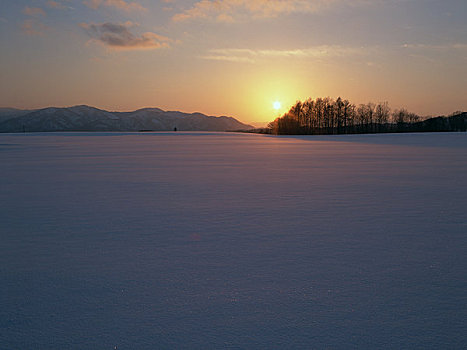 雪原,落日