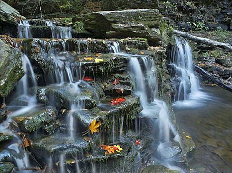 厨房,溪流,瀑布,秋天,州立公园,宾夕法尼亚