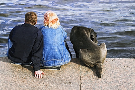 情侣,狗,坐,堤,涅瓦河,圣彼得堡