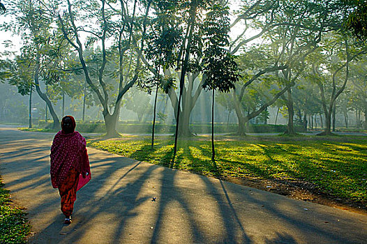 女人,走,达卡,大学,校园,孟加拉,十一月,2007年