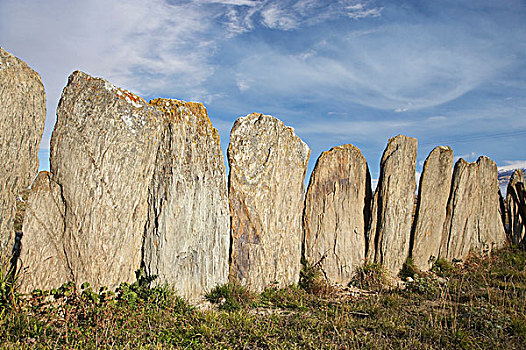 历史,站立,石头,绵羊,院子,靠近,奥塔哥,南岛,新西兰
