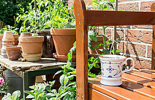 花盆,药草,蔬菜,咖啡杯,园凳