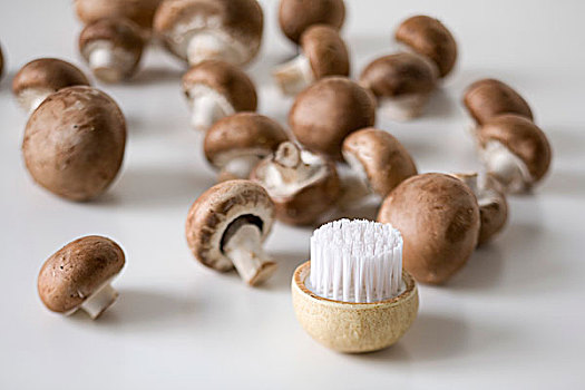刷,蘑菇,洋蘑菇