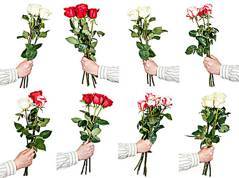 三个,五个,玫瑰花,花束,拿着