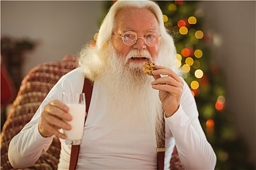 微笑,圣诞老人,吃,饼干