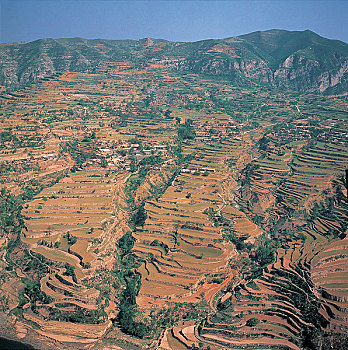 河南梯田