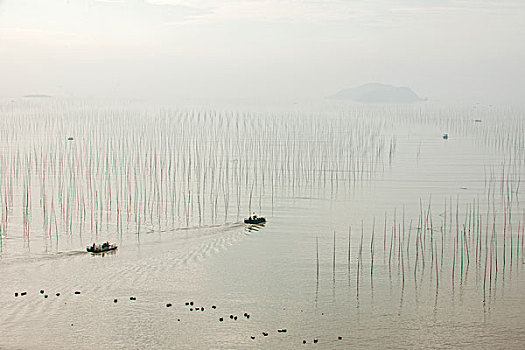 福建宁德市霞浦县北岐村滩涂早晨行驶的渔船