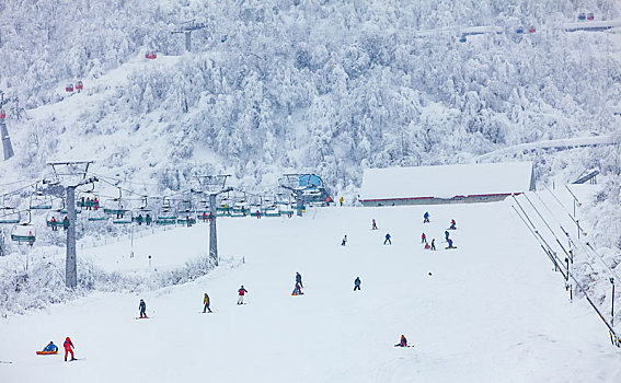 西岭雪山大雪的美丽风景