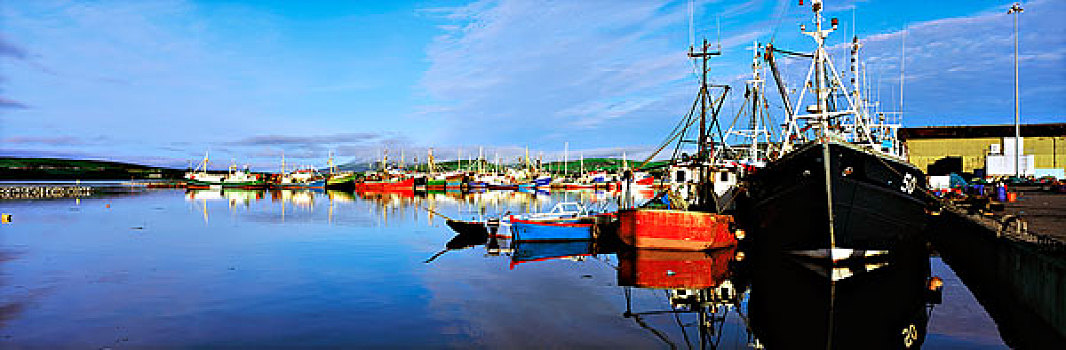 丁格尔半岛,爱尔兰,捕鱼,港口