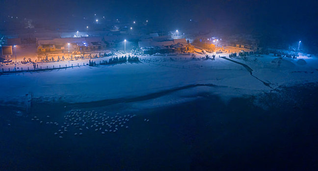 航拍山东威海俚岛镇烟墩角拍摄的冬天雪地天鹅风景夜景