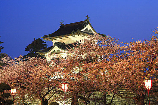 弘前城,樱花